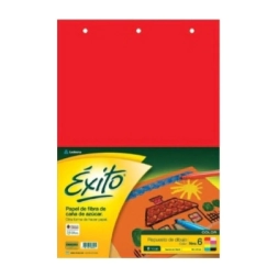 Imagen de Rto Exito Dib N6 Doble Oficio Color