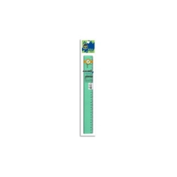 Imagen de Regla Estudio 30cm Verde Pizzini