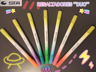 Imagen de Resaltador Duo Sta