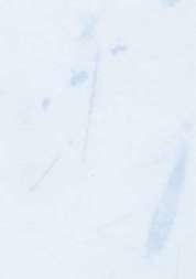 Imagen de Papel A4 Pétalos Celeste 90gr