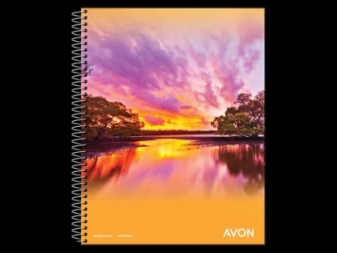 Imagen de Cuad Avon 22x29 Ray 84 Hjs
