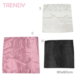 Imagen de PaÑuelo Seda Trendy