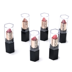 Imagen de Lapiz Labial Matte Skora