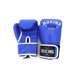 Imagen de Guantes Boxing Club