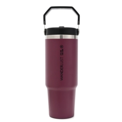 Imagen de Vaso Termico Con Pico 900ml Morado Wanderlust